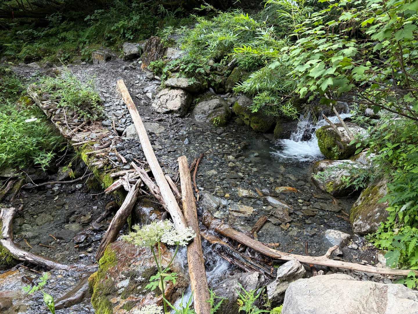 降りてくるにつれて暑くなるので
渡渉しつつ顔を洗って涼をとるなど