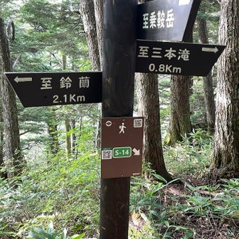 ここで分岐。