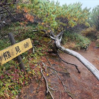 熊見峠🐻️ここで まぁさんと熊おどし💥