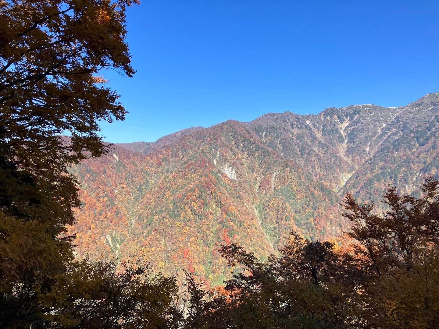 紅葉🍁