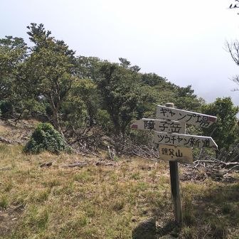 親父山頂上に着きましたが周りの景色は見えません😭