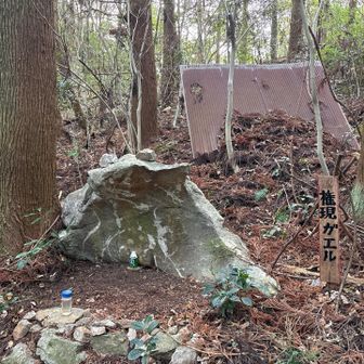 確かに🐸だけど…目はやってるな😂