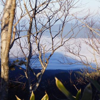 雲海に浮かぶ逆さ恵那山