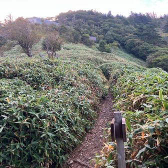 開けた野営場に着いた😄