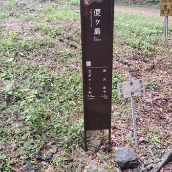 便ｹﾞ島