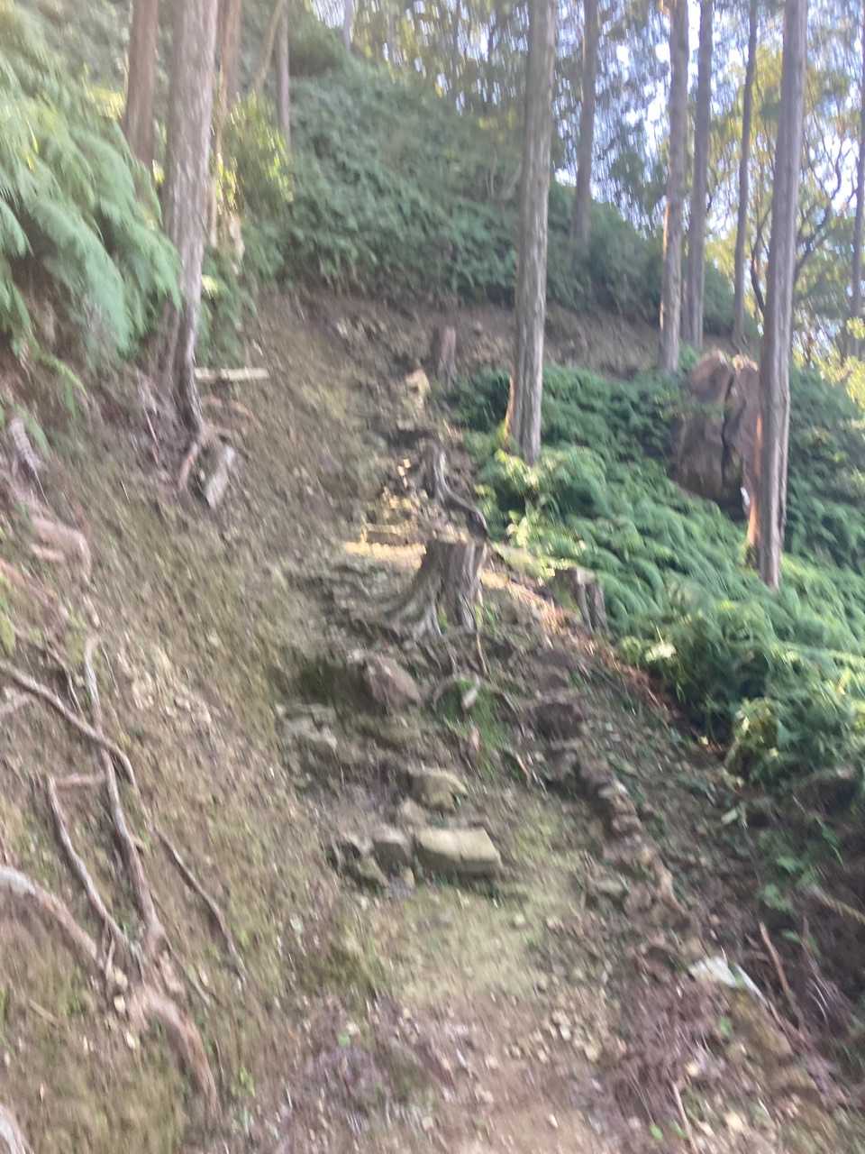 あー😮‍💨苦手な道