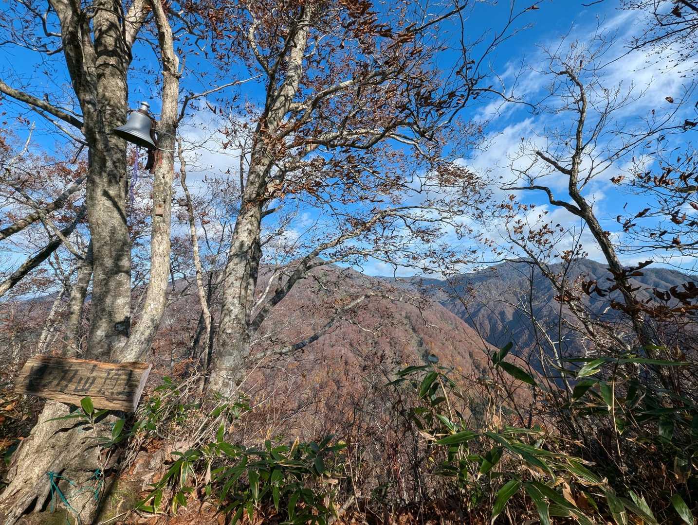 木の向こうに道南アルプス