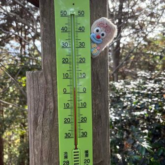 4度ないくらいニャロメ