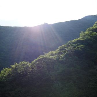 小屋も見えてきました🛖