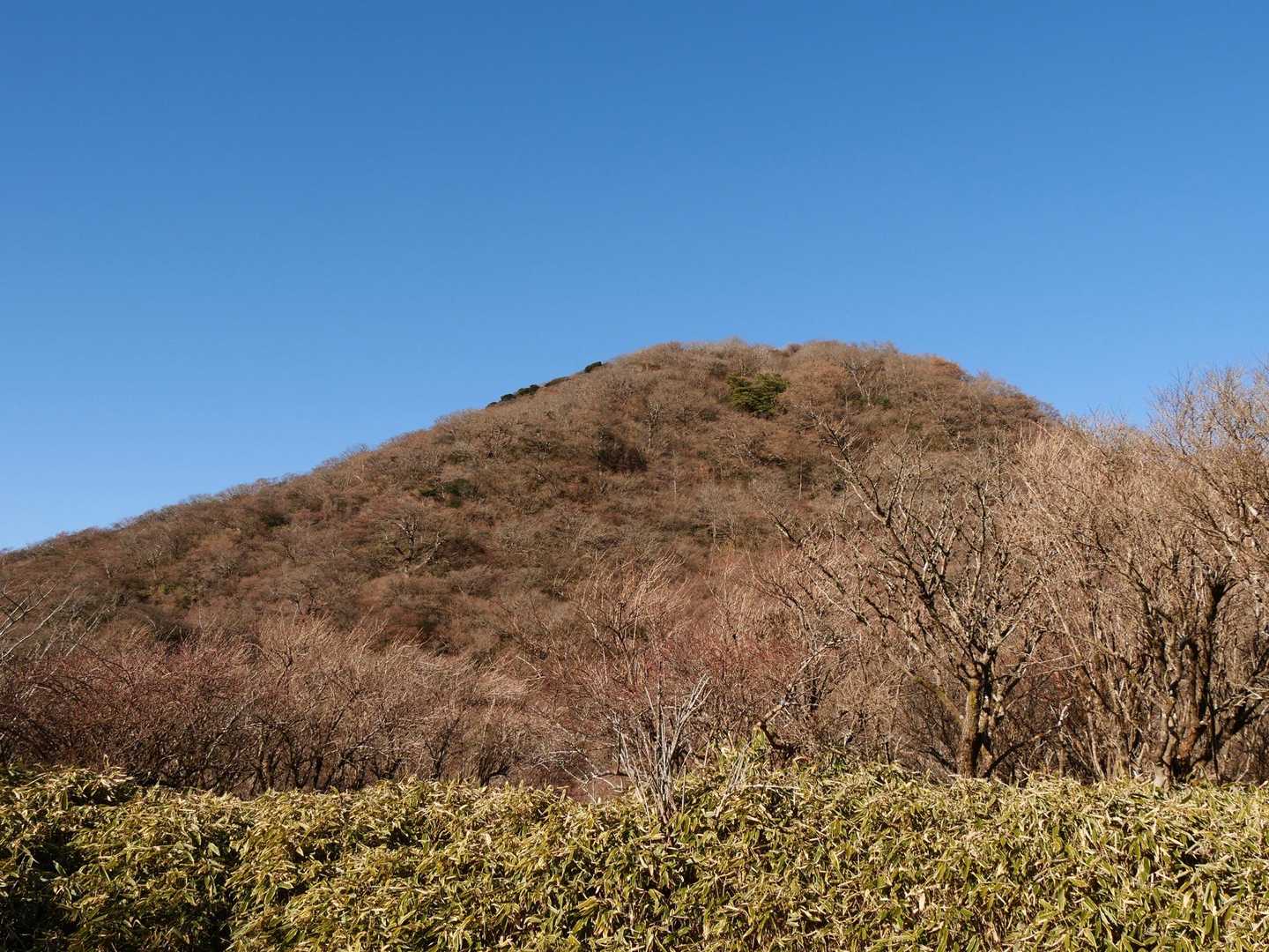 神山です。めんどくさくなってパスしちゃいました。