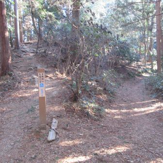 物見山へは左を進む