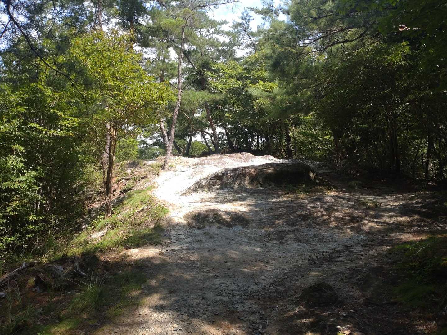 すぐに稜線に出る🥵