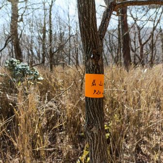 扇山は扱いが雑やん😅