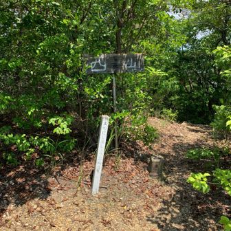 今日の3つ目
西山

この山はザレザレだね
暑かったし、ここの登りが1番しんどかったかな？
ズルって滑ると余計に疲れちゃうよね？