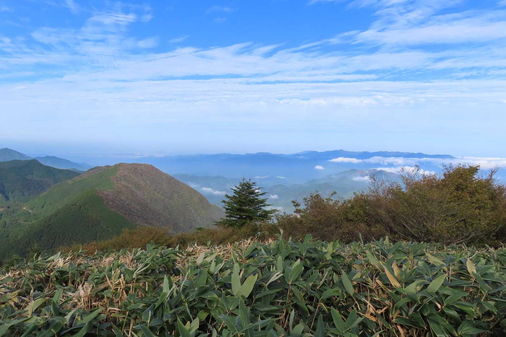 青滝山と高縄半島の山々