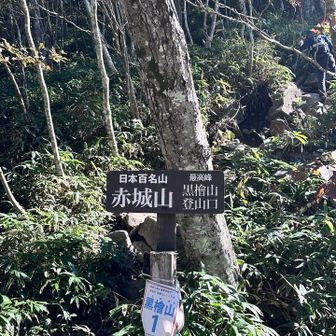 登山口、ここに至るまで車道をおの　を見ながら晴れた日楽しい。おのこ　には、ぴちびちのワカサギがいました。たぶん。。