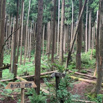杉平峠