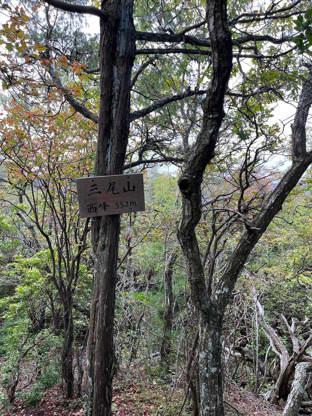 西峰登頂♪
