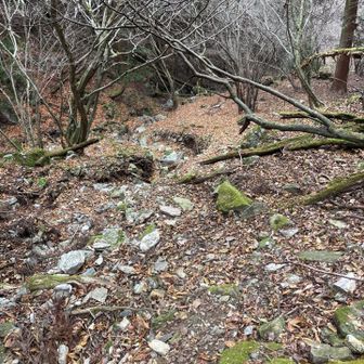 段々トレースもハッキリしてきて