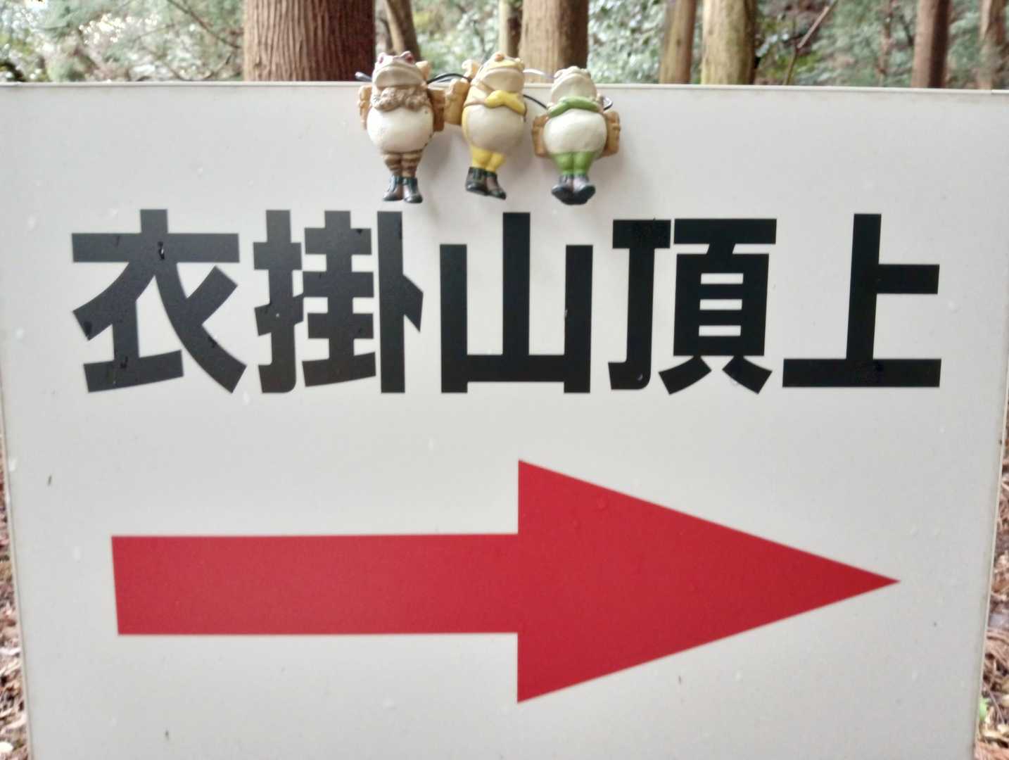 標識と同行者🐸