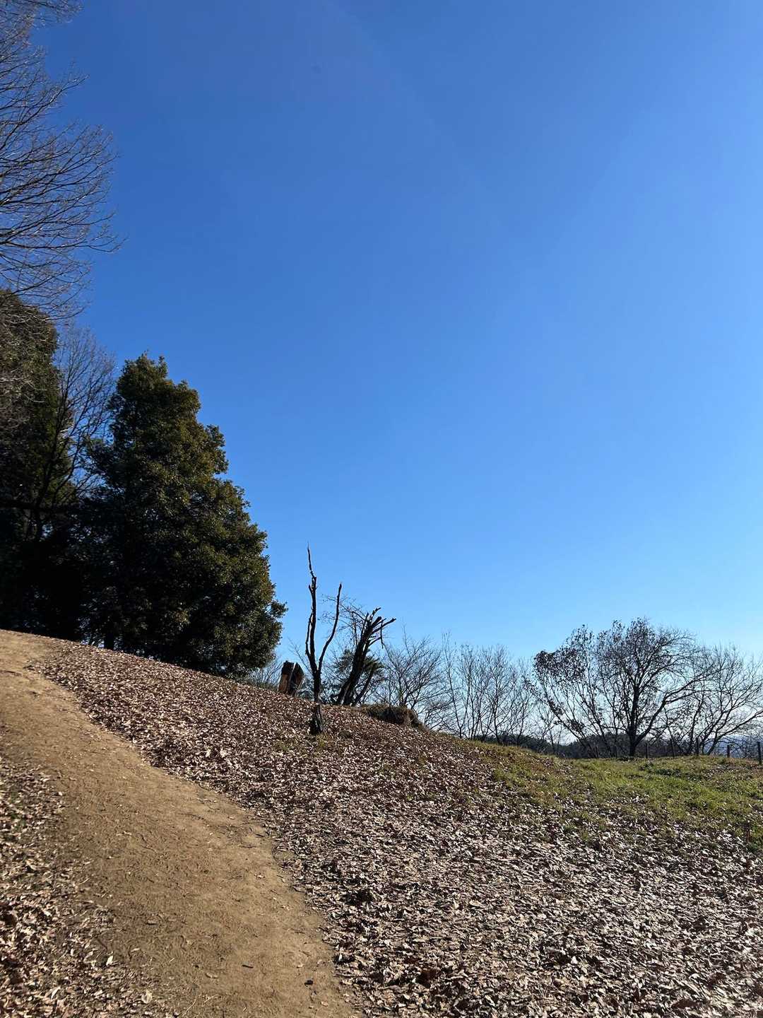 金山 往復コースの写真