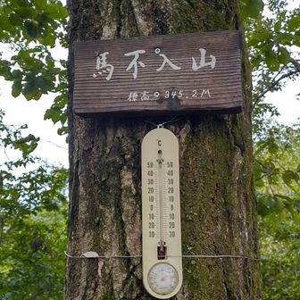 登山道は水が流れていて、バシャバシャと上って車道に出ました😂
道を渡り登山道をグイグイ上って～やっと着きました✌️
ベンチで休憩 🍙チャージ

ご一緒した方と山話♡
ありがとうございました☺️