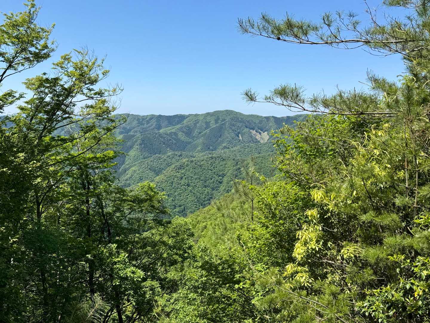 またもや景色が