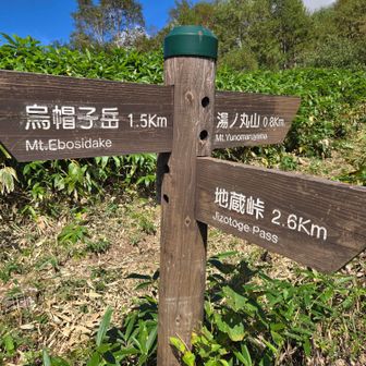 分岐。
烏帽子岳には登らずに地蔵峠へ戻ります。

ここで大きなザックをデポしていた学生さん達とお話しする。
山岳部ですか？と聞くとと「ワンダーフォーゲル部です♪」と…うーん？
山岳部と何か違うのかな～としばらく考えながら歩いていく♪