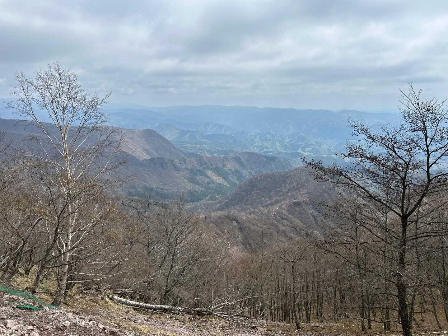 篭山 周回コースの写真