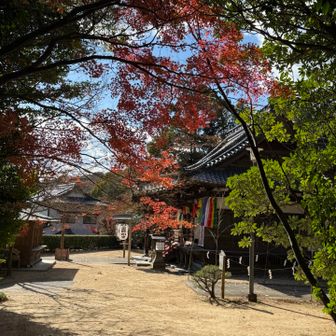トイレお借りします🙏