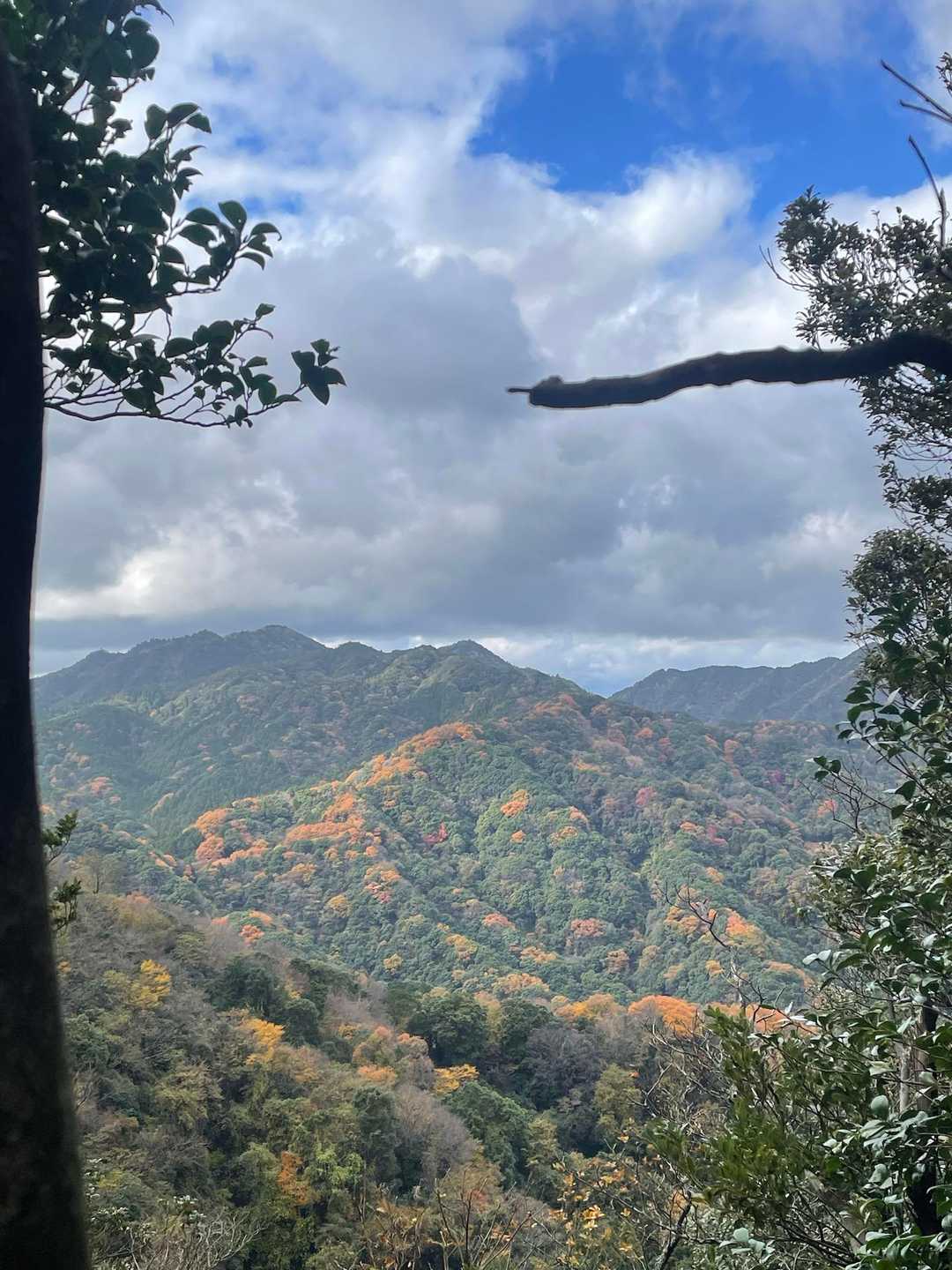 紅葉の盛りですねぇ
あ、行き過ぎてました💦パッチワークのお山見れたからよし🙆‍♀️