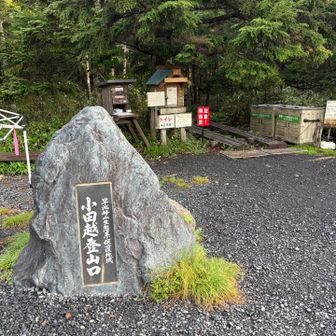 小田越登山口から林道へ