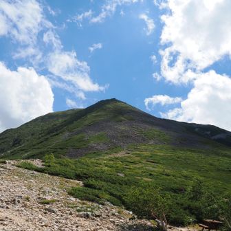 常念小屋から常念岳を見上げて　緑に見えるけど登山道はガレ場が続くので大変そう💦