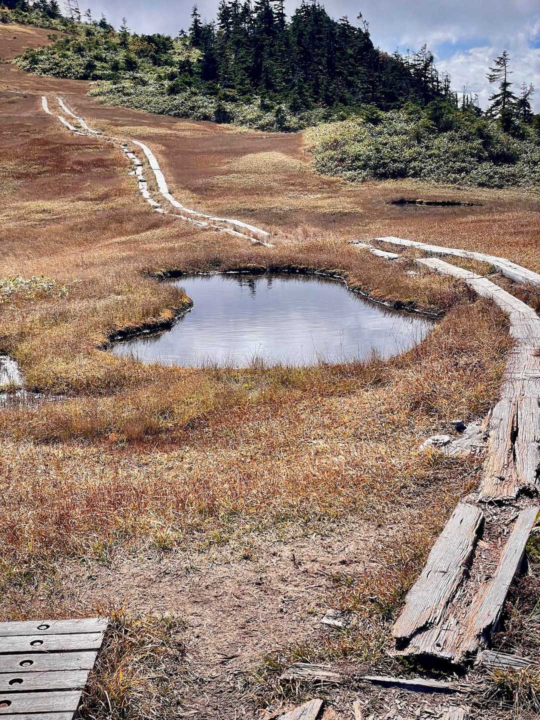 滝沢登山口-駒ノ大池-会津駒ヶ岳-中門岳 往復コースの写真