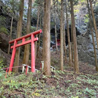 駐車場から直ぐに鳥居⛩️があり、奥の洞窟下に祠が有りました