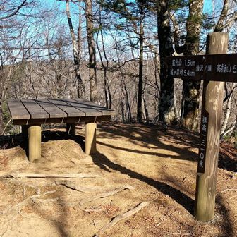 今日はここで引き返します。