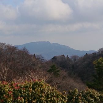 ㊗️近江百山♪銚子ヶ口＆カクレグラ101・100/101 / 綿はるの登山