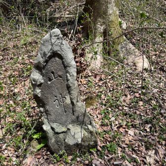 山神　またしても文字フォントが気になる私
なぜ、神だけ書体を変えているのか気になる