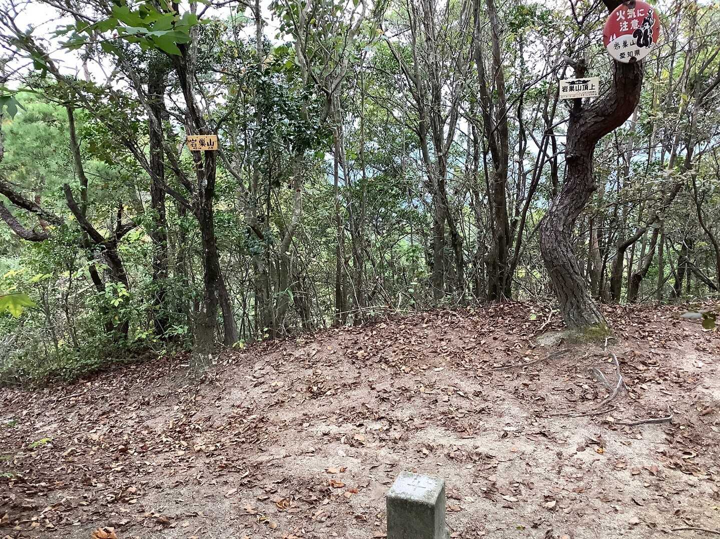 岩巣山の写真