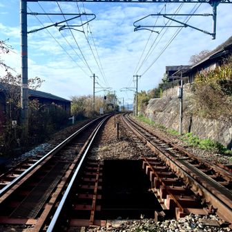 ワンツースリーゴー‼️みんなで連呼して渡ります。