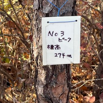 各務原アルプス（関南アルプス）・八木三山 第三ピーク