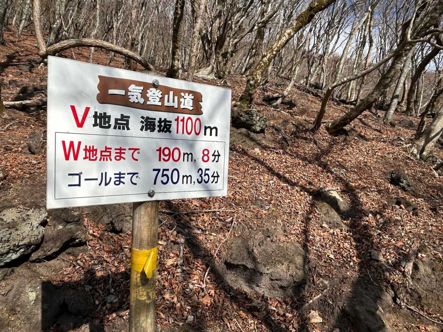 意識したけど
私にはギリ
くらいつけるペース｡ﾟ+.( °∀°)ﾟ+.ﾟ