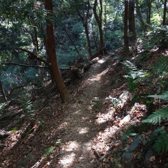 公園へと降ります。