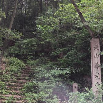 案内通りに降りたら、ここに出ました。