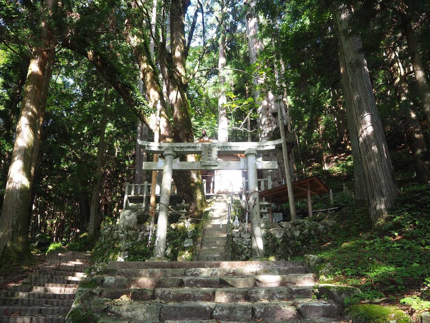 すごく年代を感じる神社
良い気が漂ってます☺️