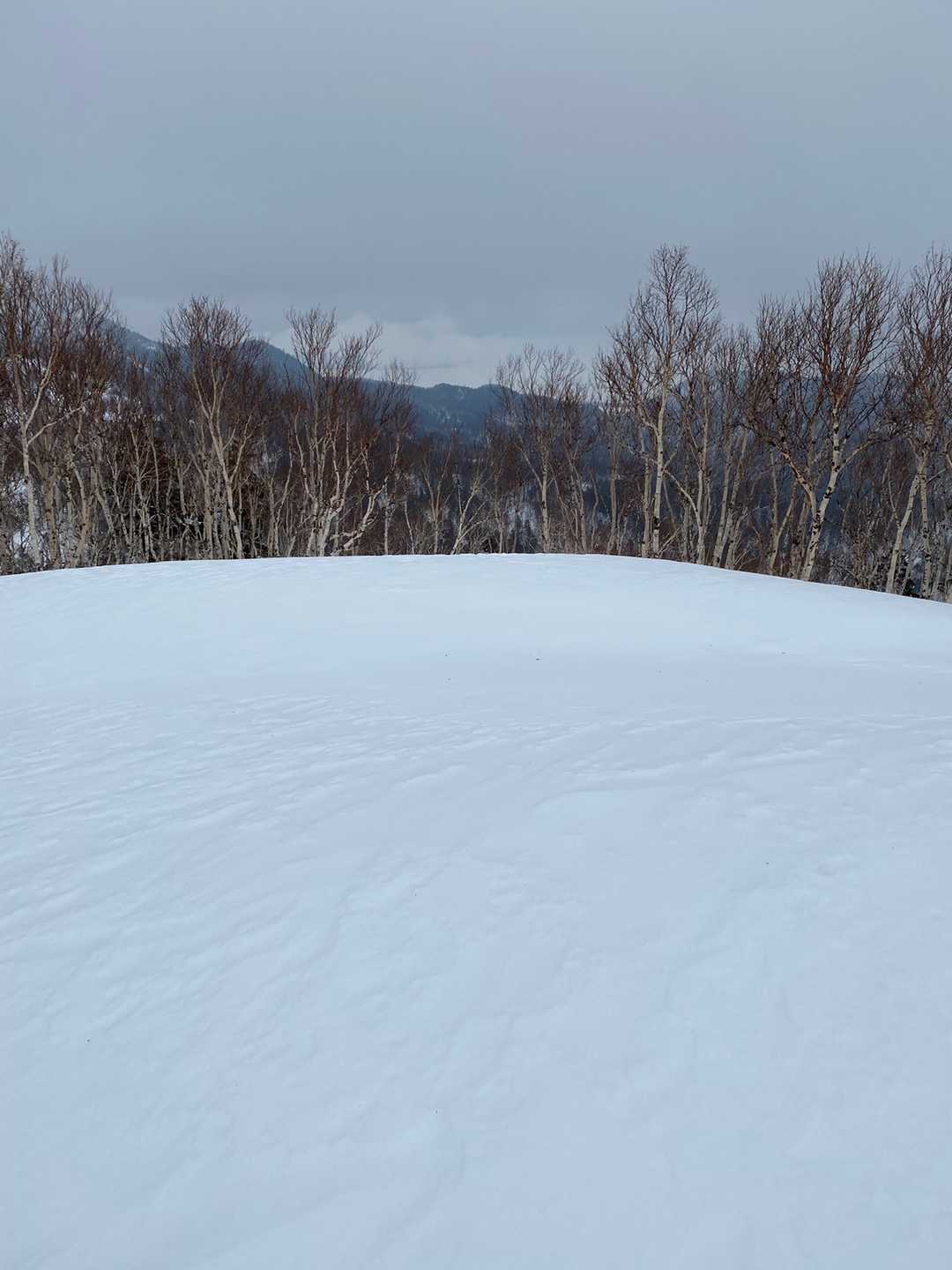 山頂から屈斜路が望めた。