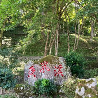 夏の香嵐渓
キツネノカミソリが咲いてるとは知らなかった