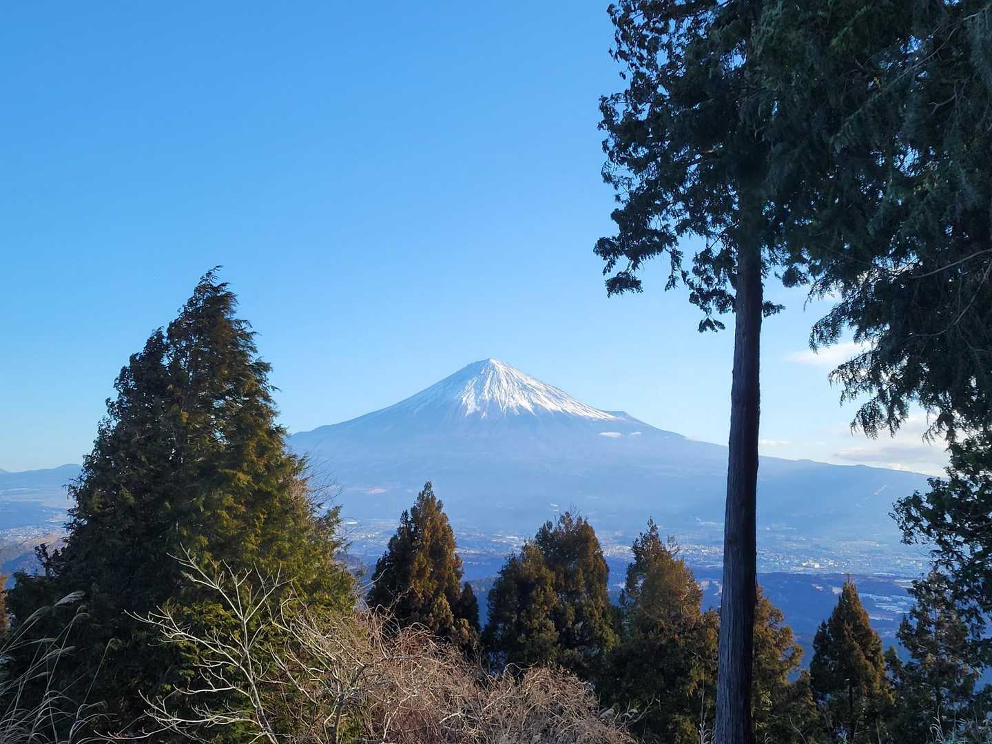 富士山