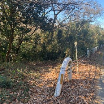 一旦国道沿いにほんの数メートル　ココで下に向かう