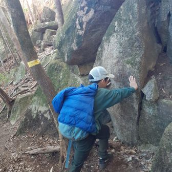 ドスコイドスコイ👐‼️